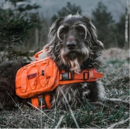 OneTigris Dog Backpack for Medium & Large Dogs, Nylon Backpack for Dog  puppies for sale