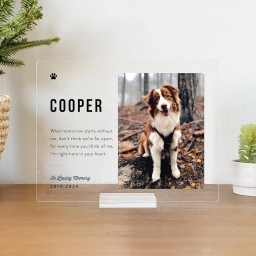 Personalized Pet Memorial Plaque, Pet Memorial Keepsake, Pet Bereaveme