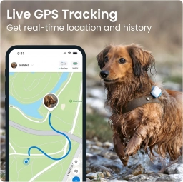 Tractive GPS Tracker & Health Monitoring for Dogs - Market Leading Pet  puppies for sale