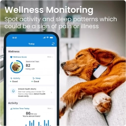 Tractive GPS Tracker & Health Monitoring for Dogs - Market Leading Pet