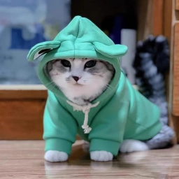 Hoodies Funny Costume for Cat and Puppy Cute Frog Cosplay Clothes for 