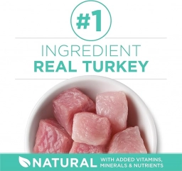 Purina ONE Sensitive Stomach, Sensitive Skin, Natural Dry Cat Food, +P