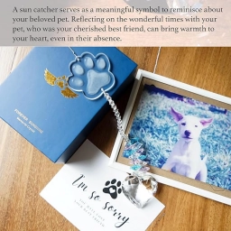 Pet Memorial Suncatcher, Dog Memorial Gifts, Pet Loss, Pet Sympathy, T