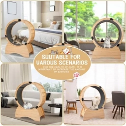 Cat Exercise Wheel – Running, Spinning, and Scratching Fun, Cat Treadm