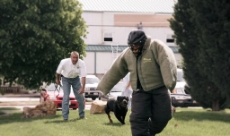 Dog Bite Prevention Training for Employees and Professionals  puppies for sale