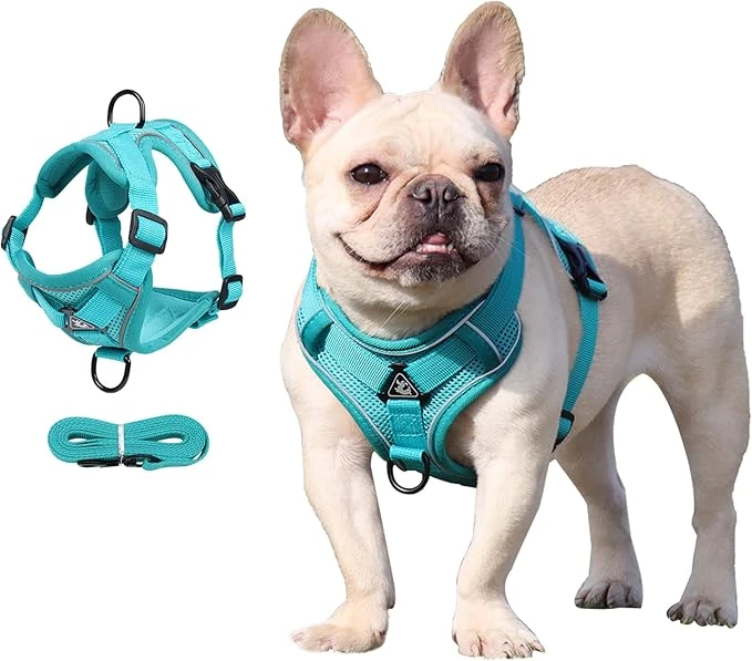 No Pull Dog Harness Small Breed,Puppy Harness and Leash Set Easy Walk Pet Harness Soft Mesh Comfort Fit,Dog Vest Harness No Pull for Medium Dog