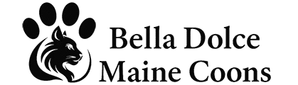 bella dolce