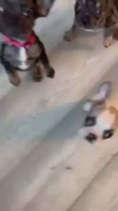 story 0