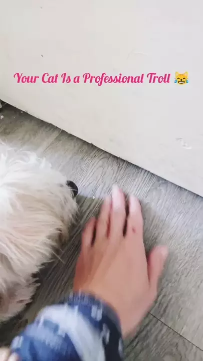 story 4