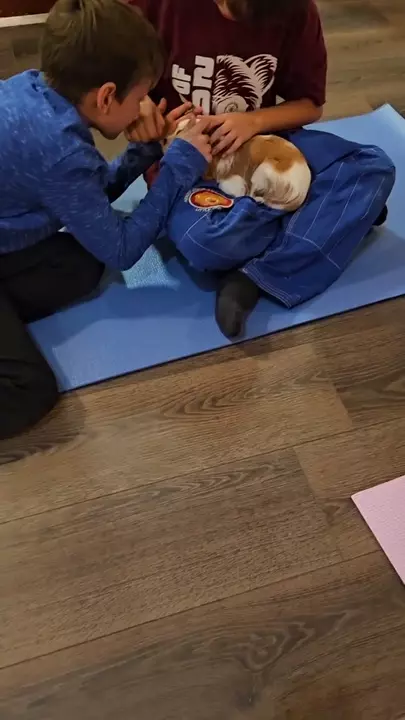Kids Puppy Yoga story 0