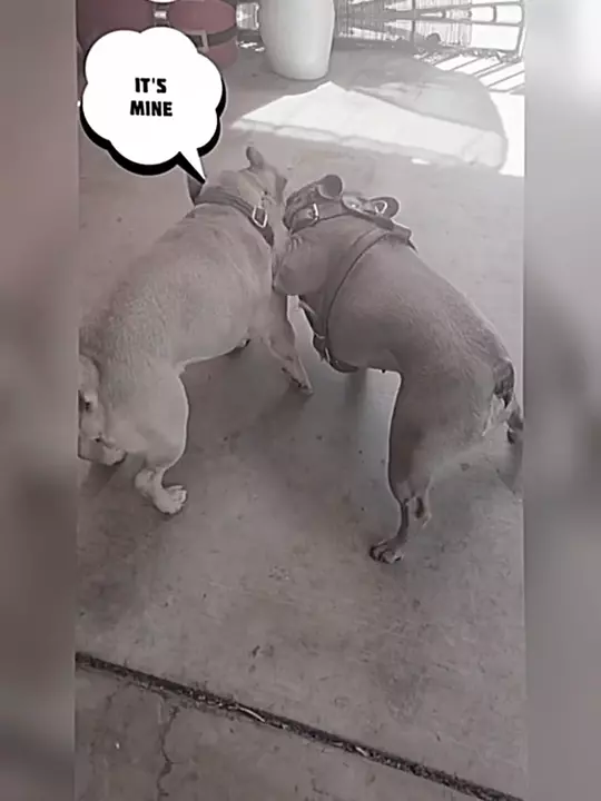 story 0